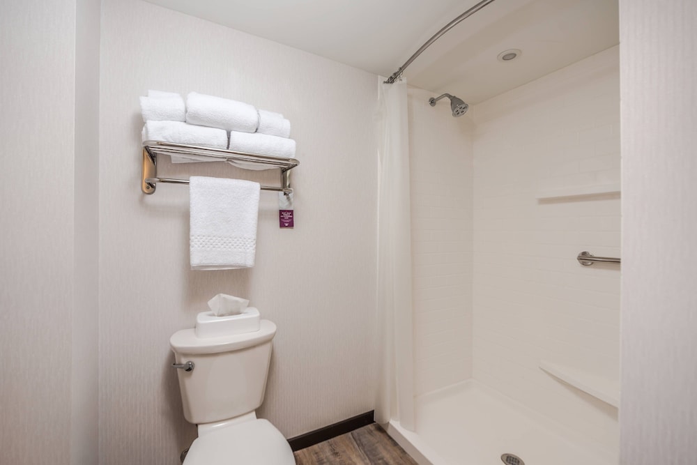 Studio, 1 King Bed With Sofa Bed (Mobility Accessible, Roll-In Shower) photo 2
