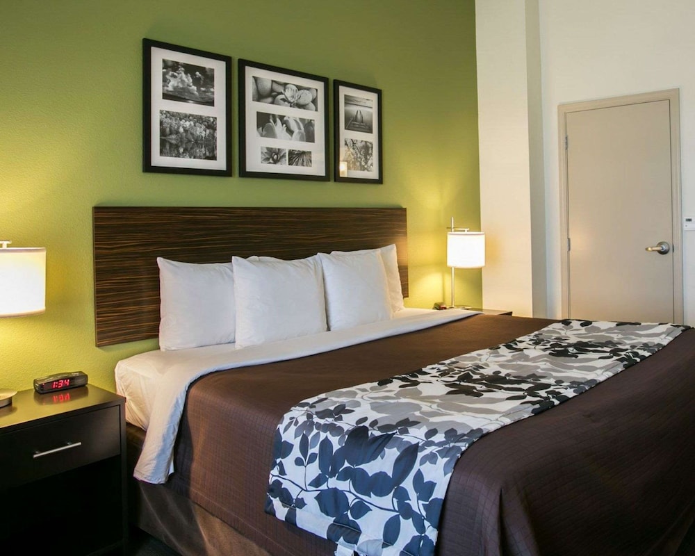 Standard Room, 1 King Bed, Non Smoking - Photo 3