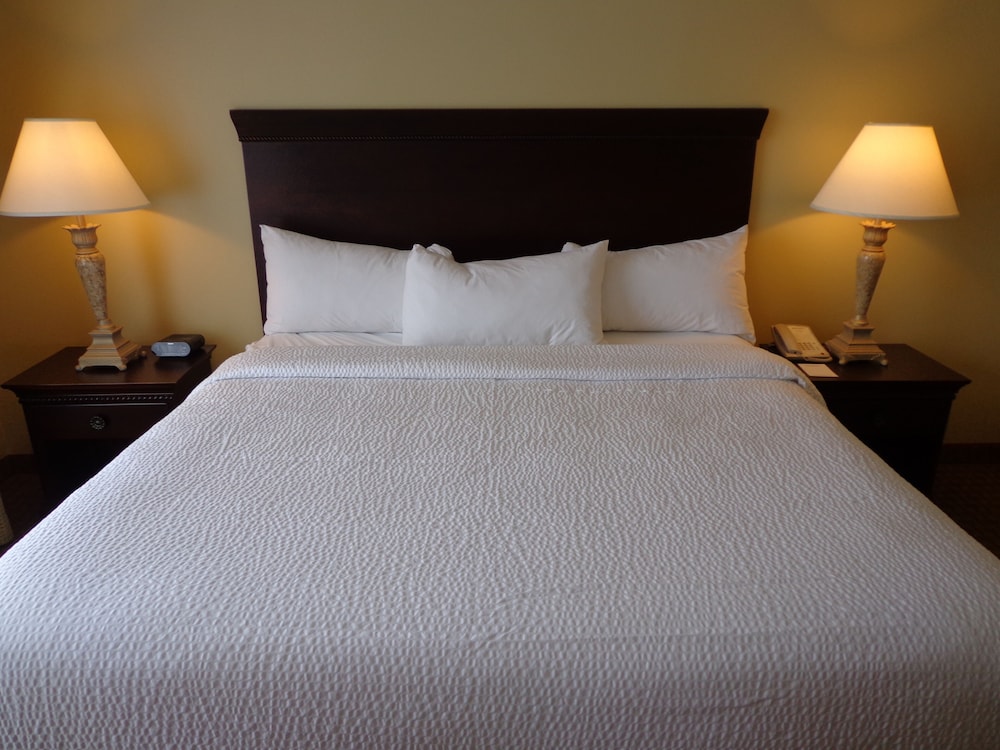 Suite, 1 King Bed with Sofa bed, Accessible