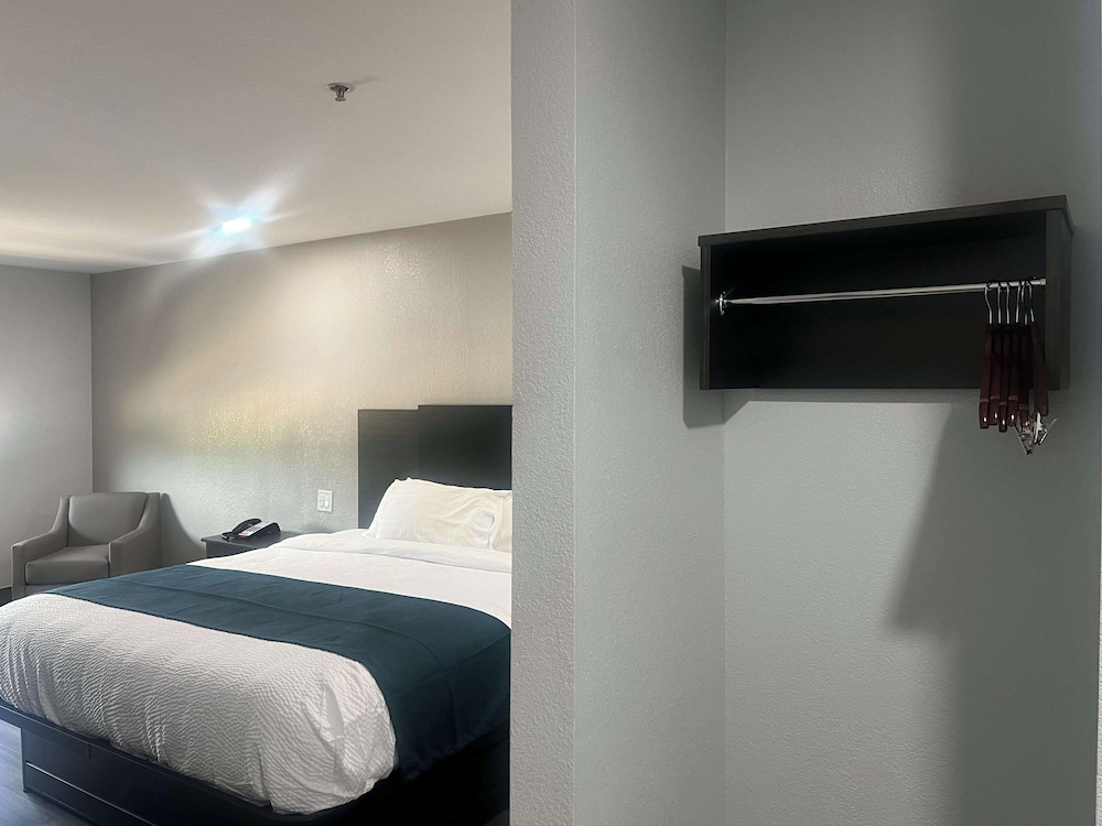 Deluxe Room, 1 King Bed, Non Smoking, Refrigerator & Microwave - Photo 4