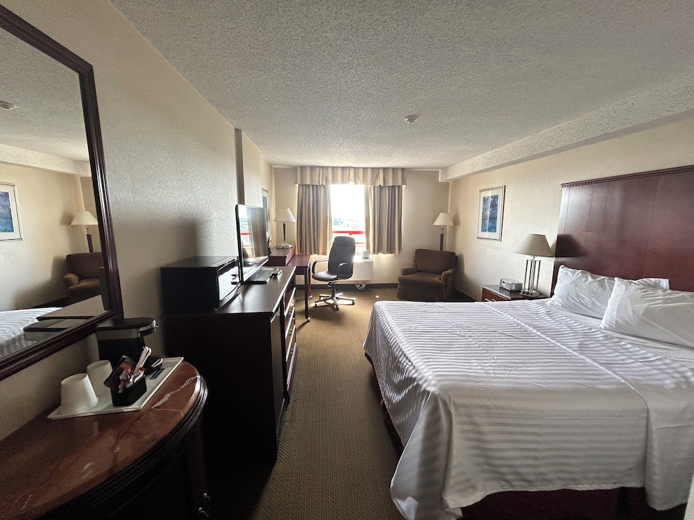 Standard Room, 1 King Bed, Non Smoking photo 2
