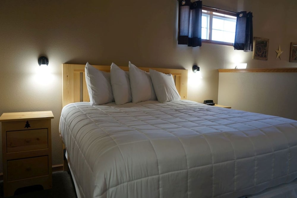 Room, 1 King Bed with Sofa bed photo 1