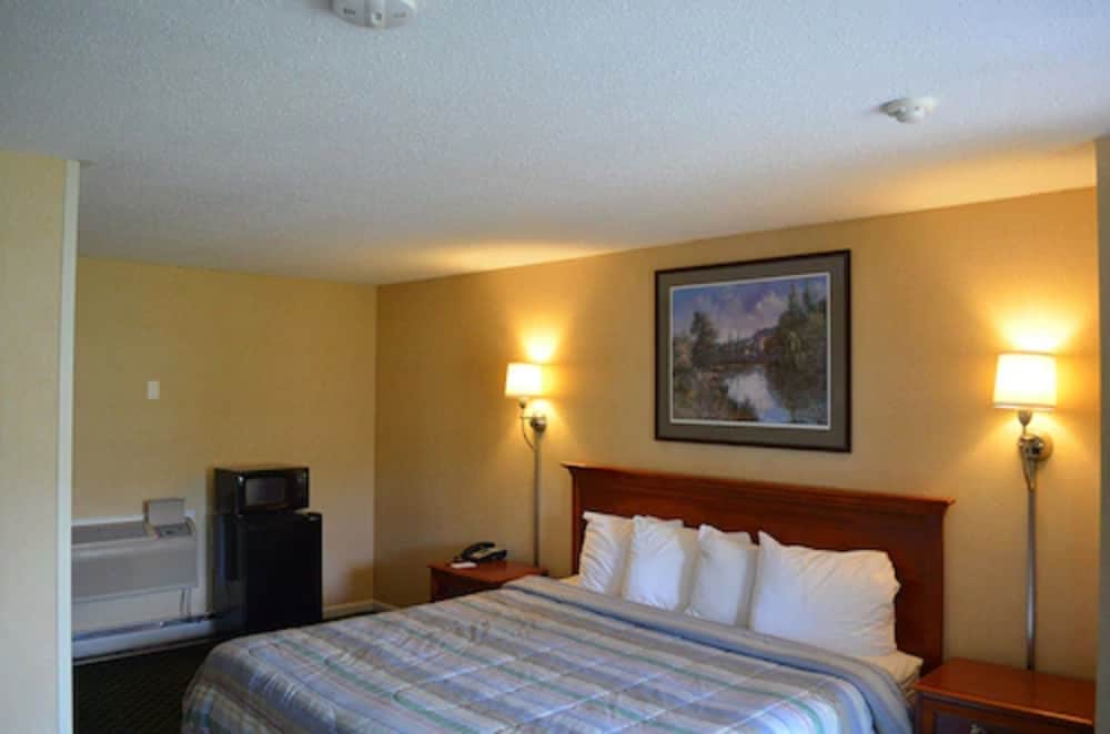 Room, 1 King Bed photo 3