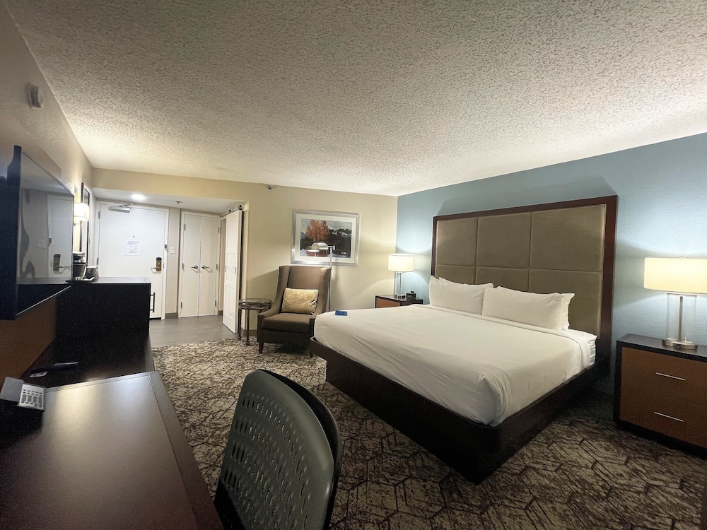 Deluxe room with king bed - Photo 2