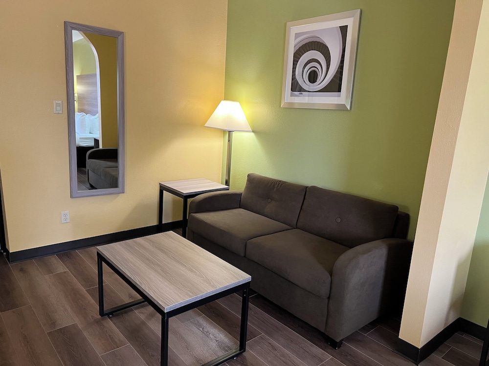 Standard Room, 1 King Bed, Non Smoking (Dog-Friendly) photo 2