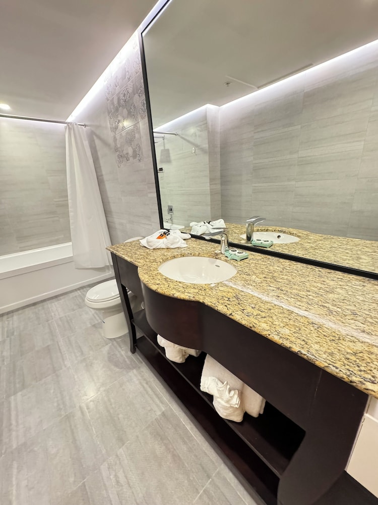 Deluxe Suite - Photo 5