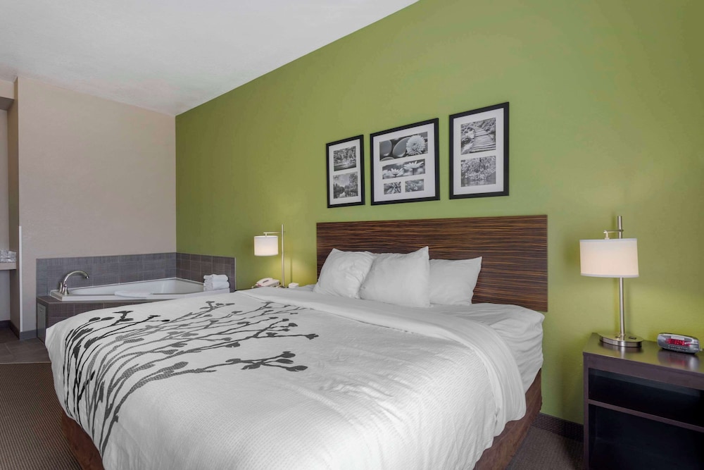 Standard Room, 1 King Bed, Non Smoking, Hot Tub - Photo 1
