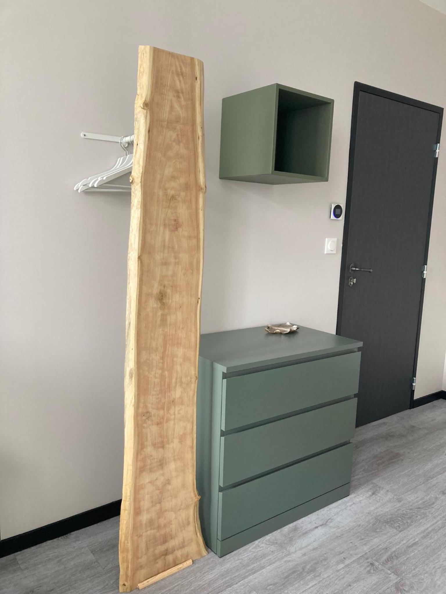 Family Room with Bathroom photo 3