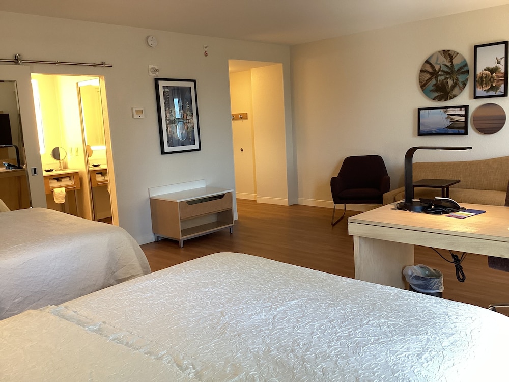 Elite Studio, Non Smoking (2 Queen and sofa bed) - Photo 14