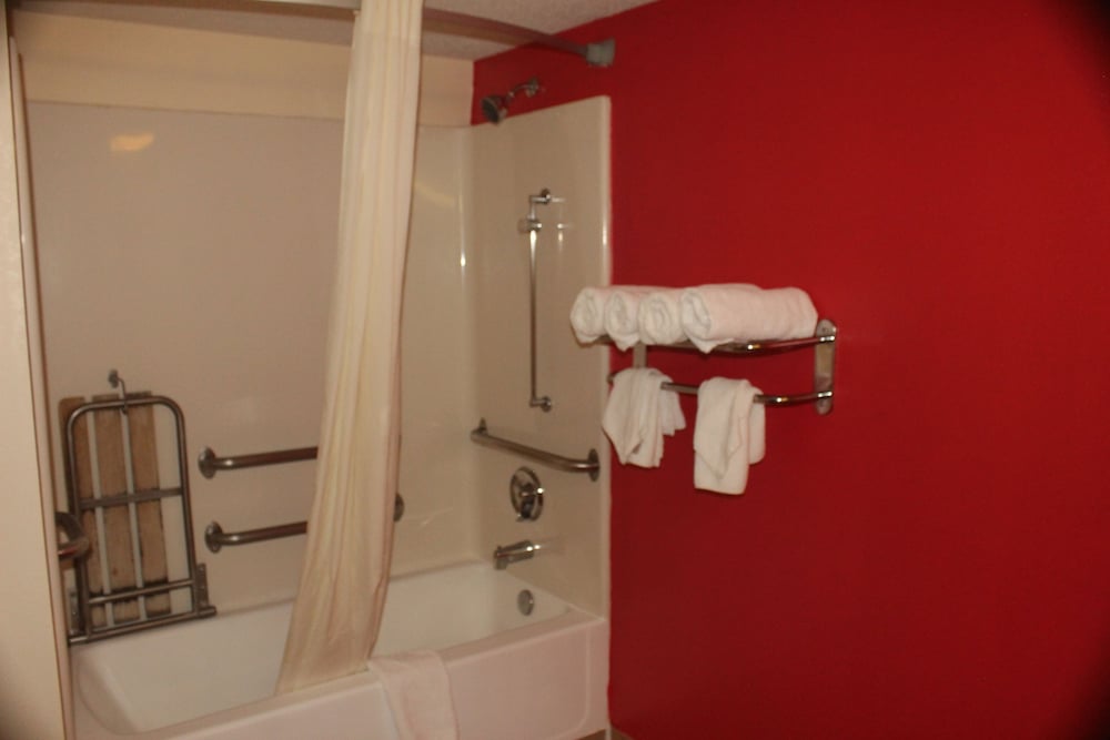 Room, 1 King Bed, Accessible, Non Smoking (Handicap) - Photo 9