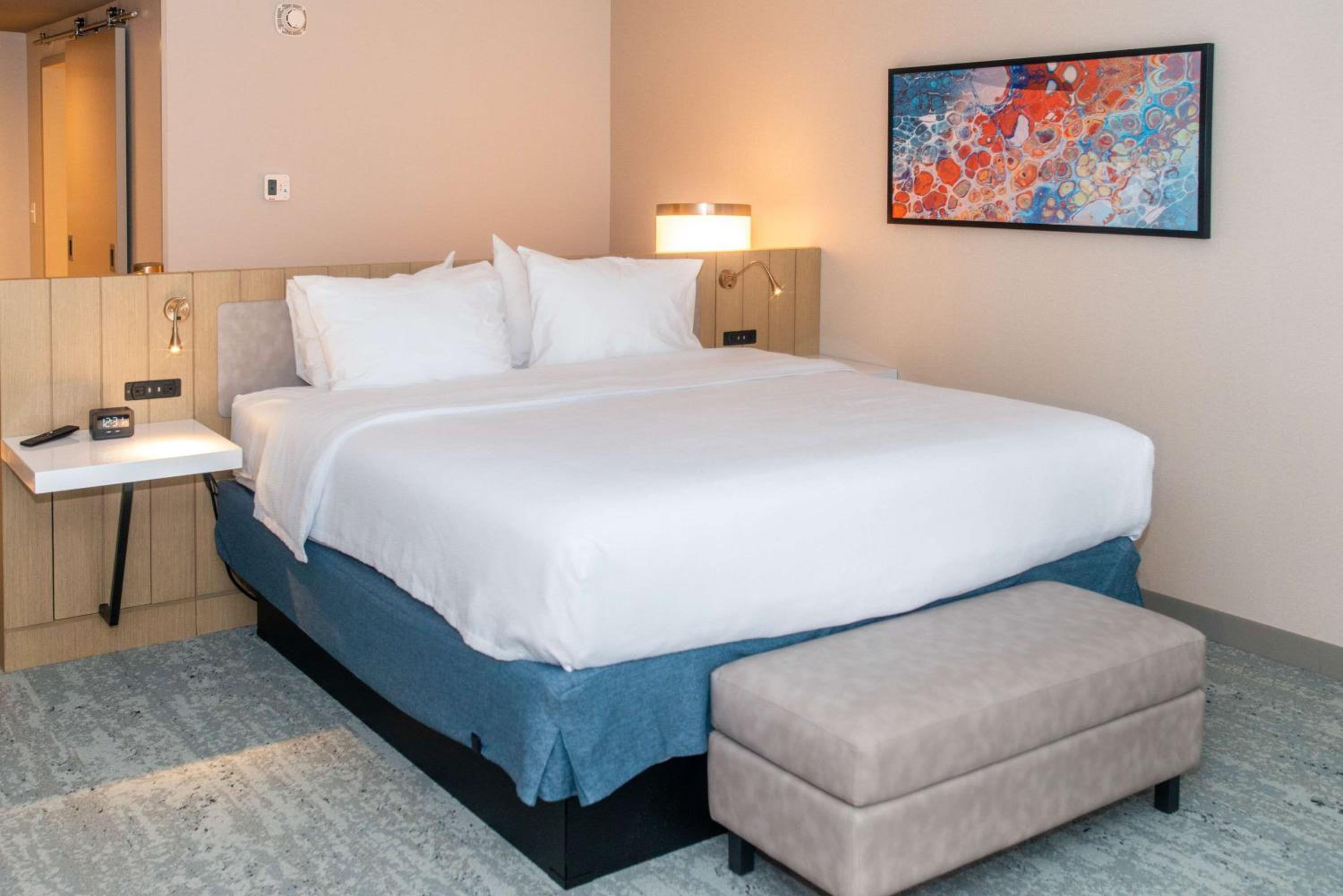 Studio Suite with One King Bed - Photo 2