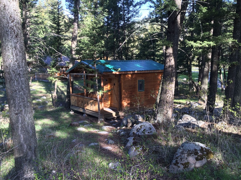 The Timber photo 2