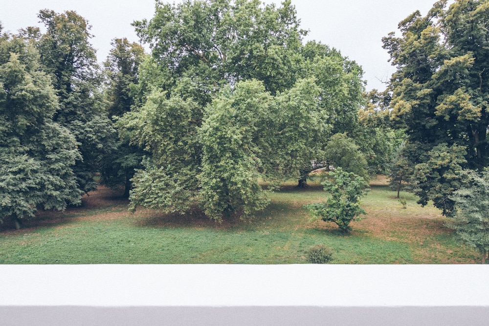 Suite, Terrace photo 2