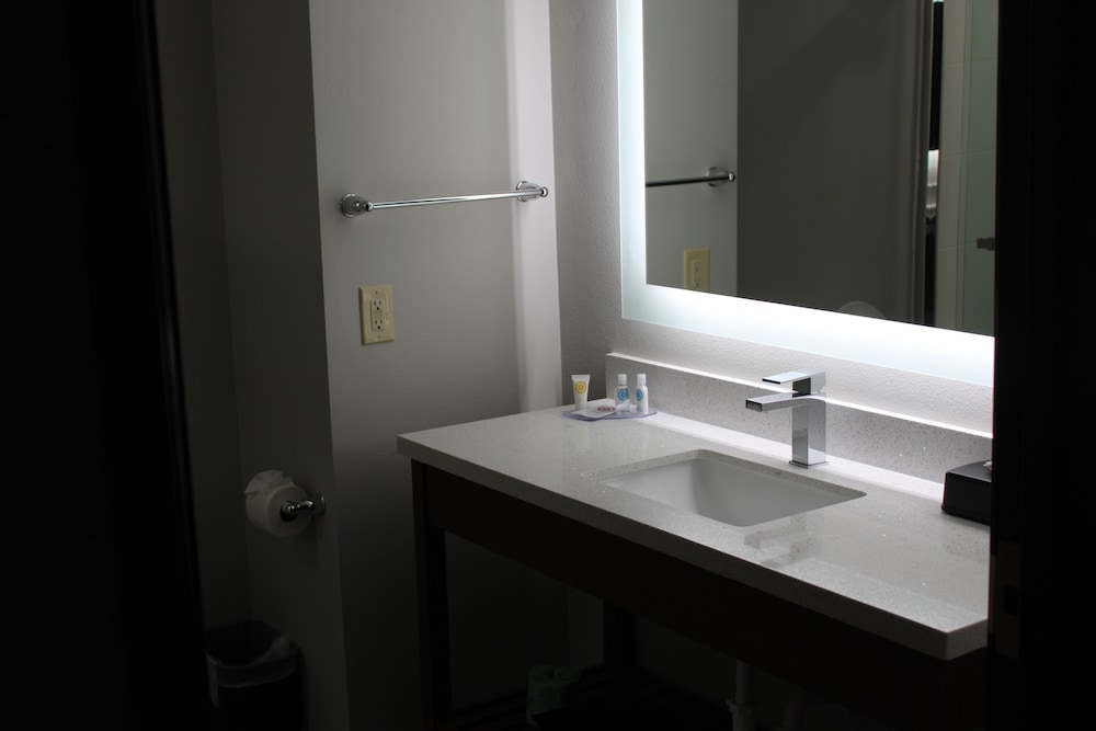 Room, 1 King Bed, Accessible, Non Smoking - Photo 12