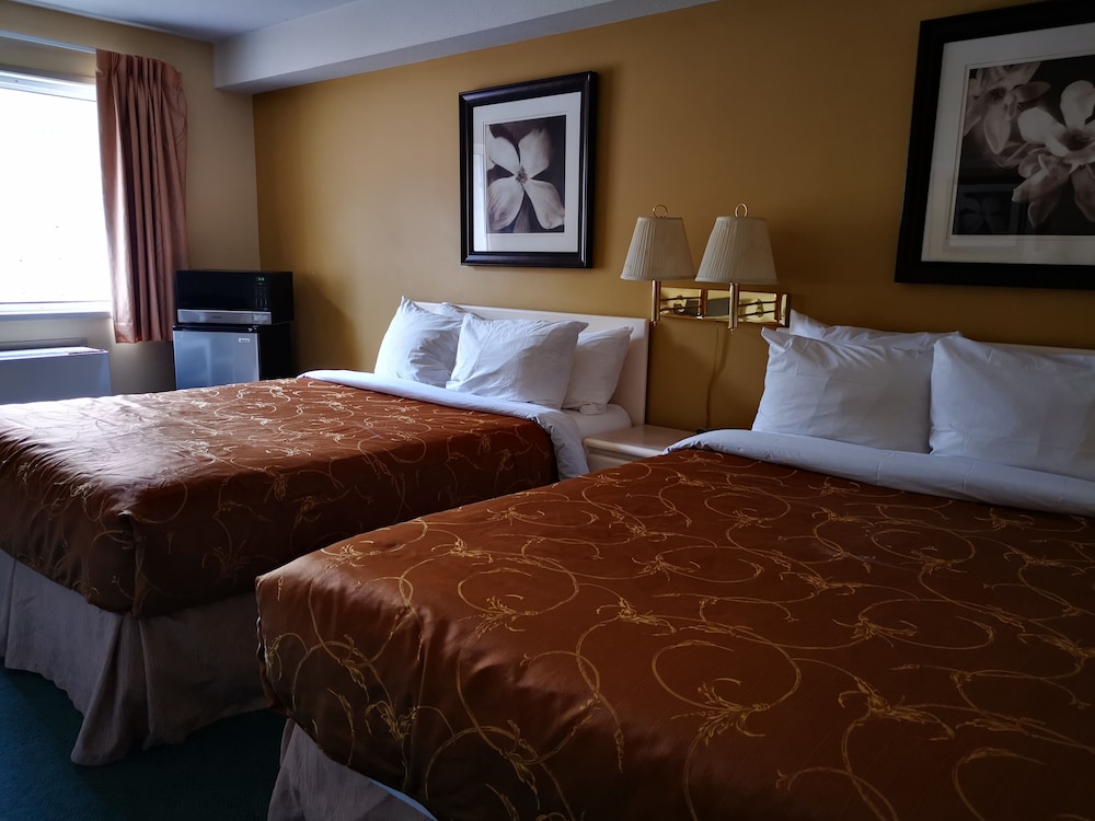 Deluxe Room photo 1