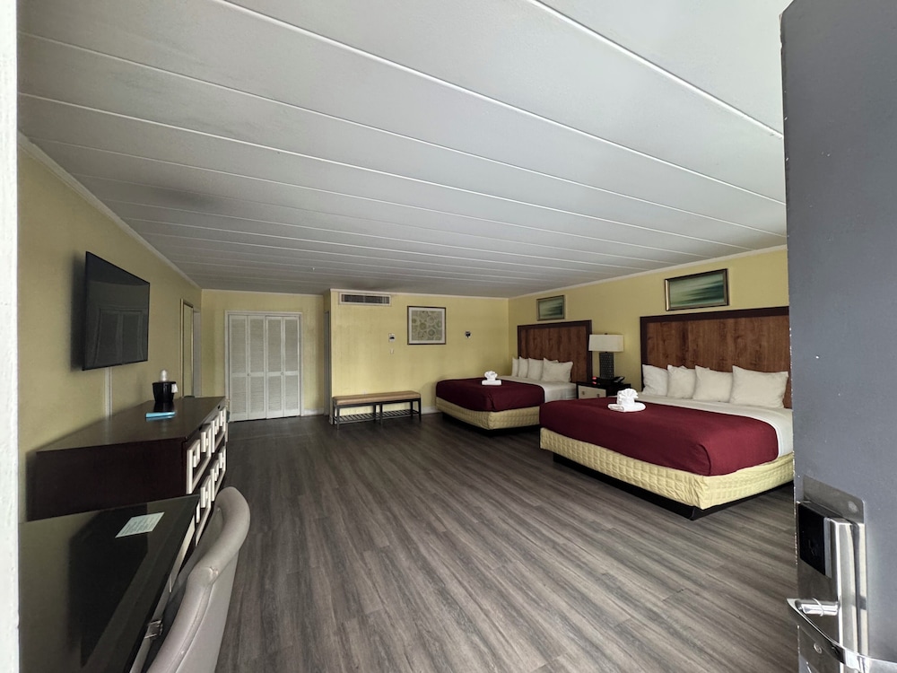 Two King Beds Room, Sofa & Kitchenette photo 2