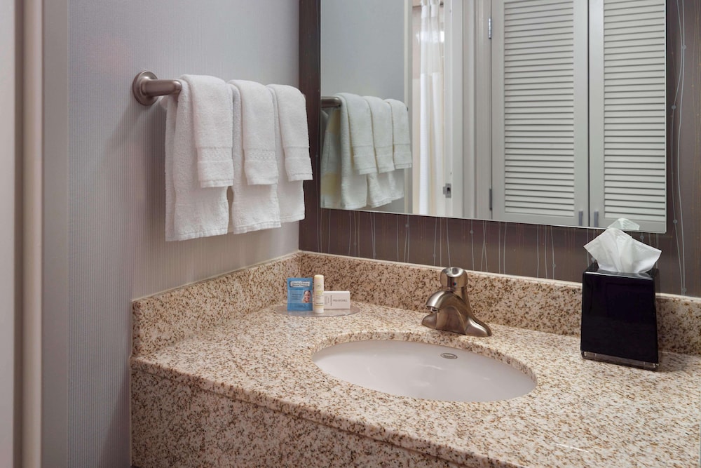 Suite, 1 King Bed with Sofa bed, Accessible (Hearing One Bedroom) - Photo 5