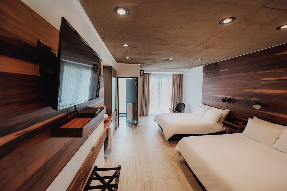 Premium Twin Room photo 1