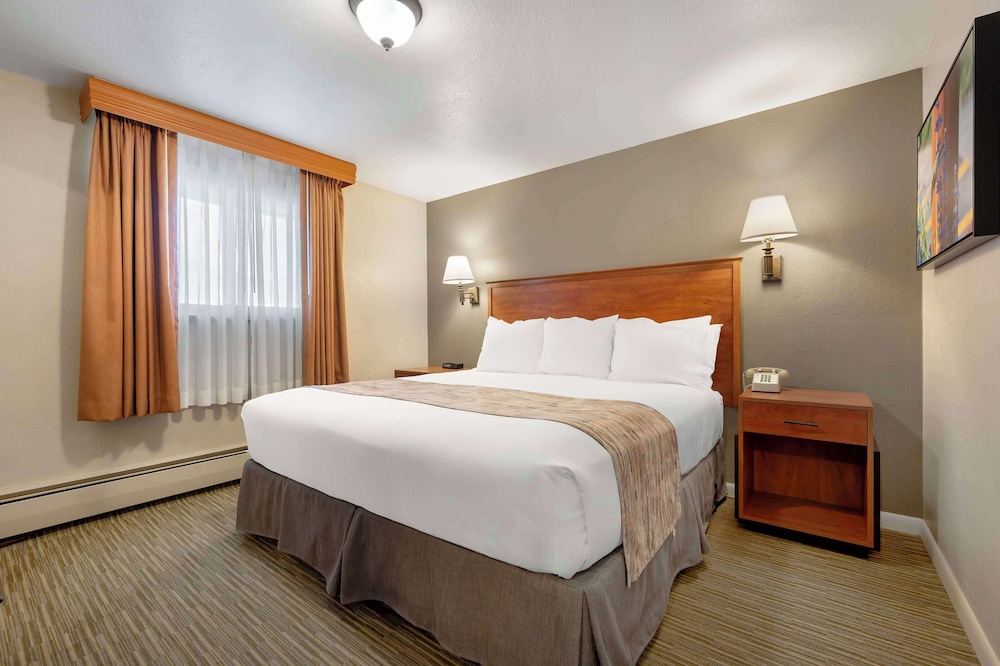 Standard Room, 1 King Bed, Non Smoking, Refrigerator (Pet Friendly) photo 3
