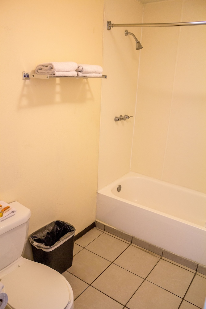 Premium Studio Suite, 1 King Bed with Sofa bed photo 3
