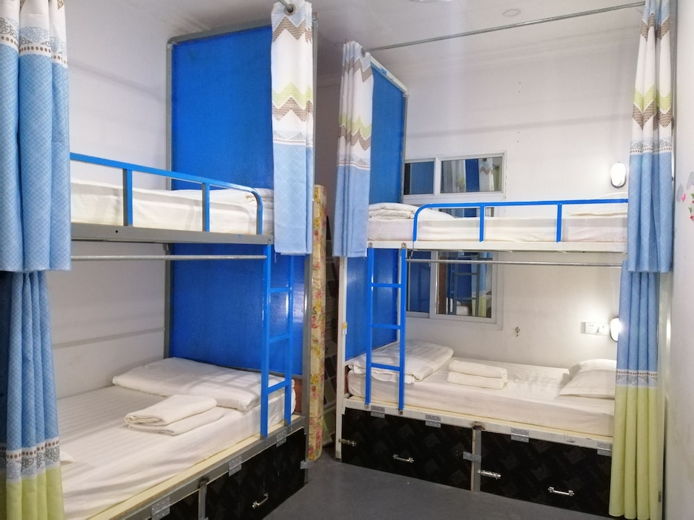 Superior Shared Dormitory photo 1