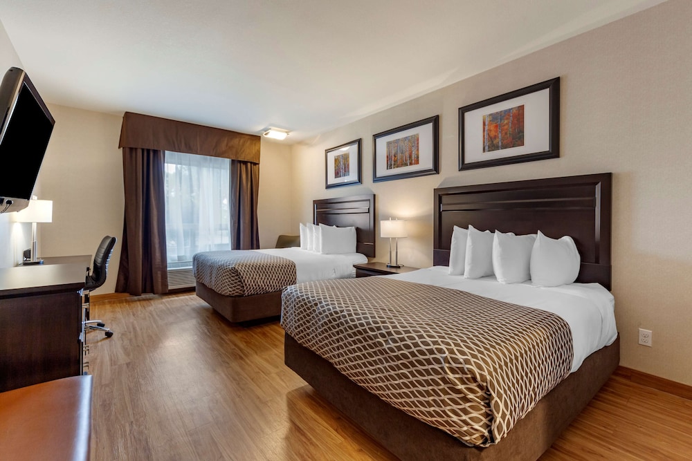 Standard Room, 2 Queen Beds, Non Smoking, Refrigerator & Microwave (Pet Friendly) photo 2