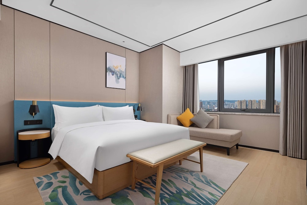 Deluxe Suite, 1 King Bed photo 2