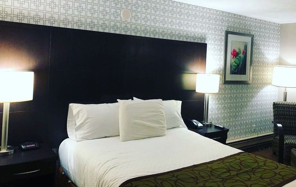 Standard Room, 1 King Bed