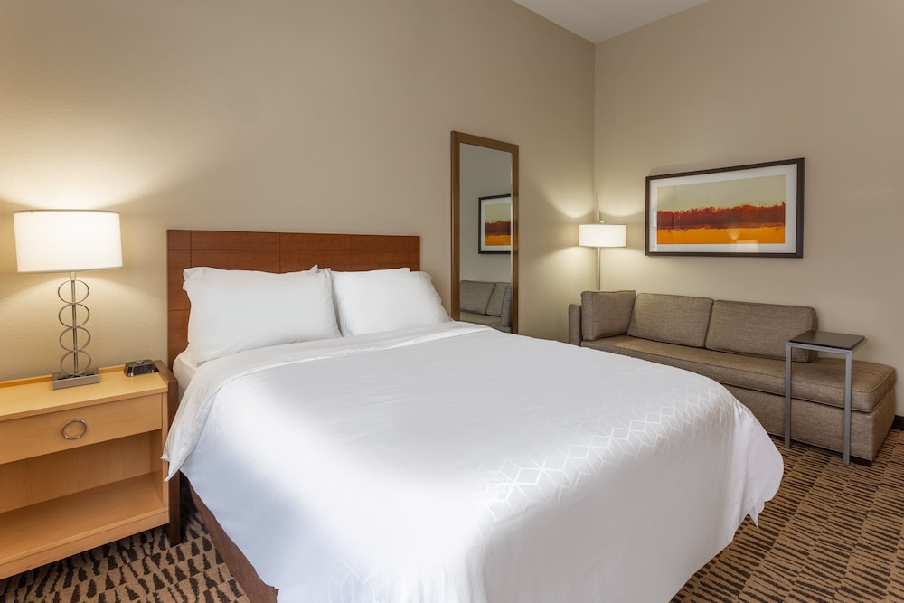 Studio Suite, 1 Queen Bed, Accessible (Accessible Tub) photo 3
