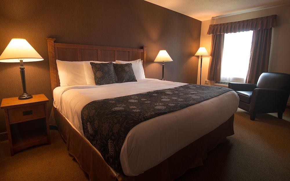 Standard Room, 1 King Bed, Non Smoking photo 1