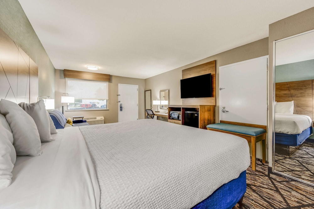 Standard Room, 1 King Bed, Accessible, Non Smoking photo 3