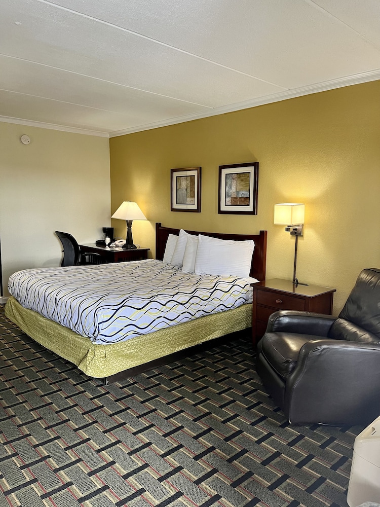 Single King Room photo 3