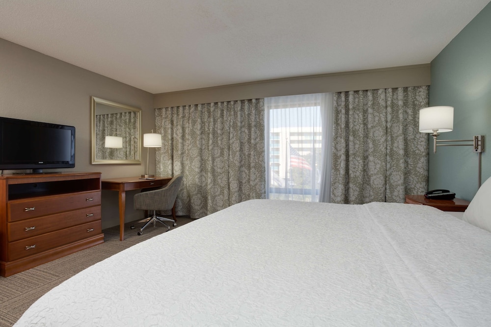 Suite, One King and One Sofa Bed, Non-Smoking