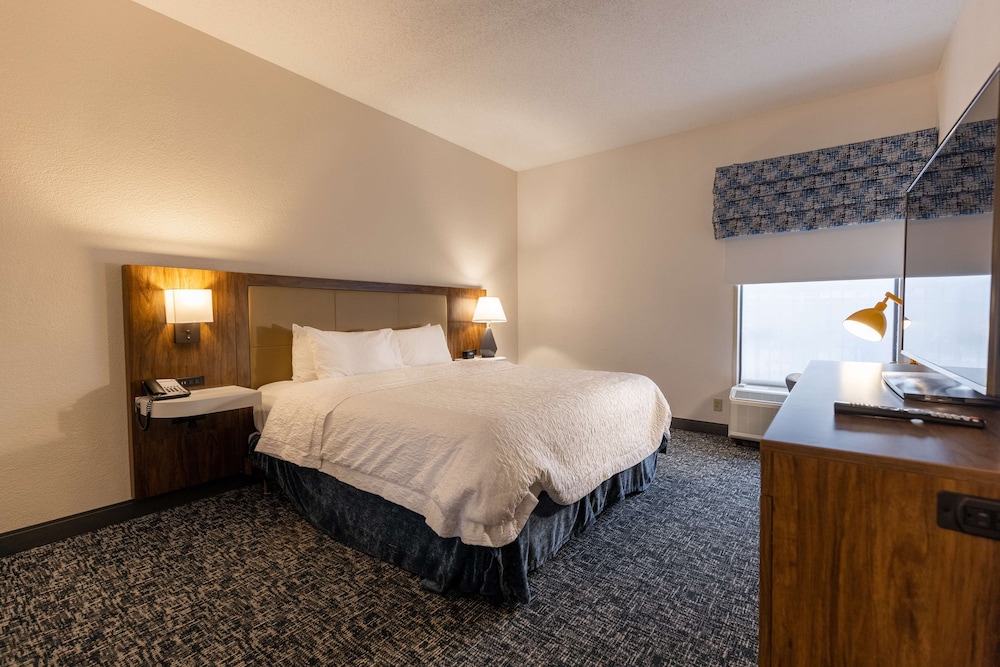 Room, 1 King Bed, Accessible (Roll-In Shower) - Photo 3