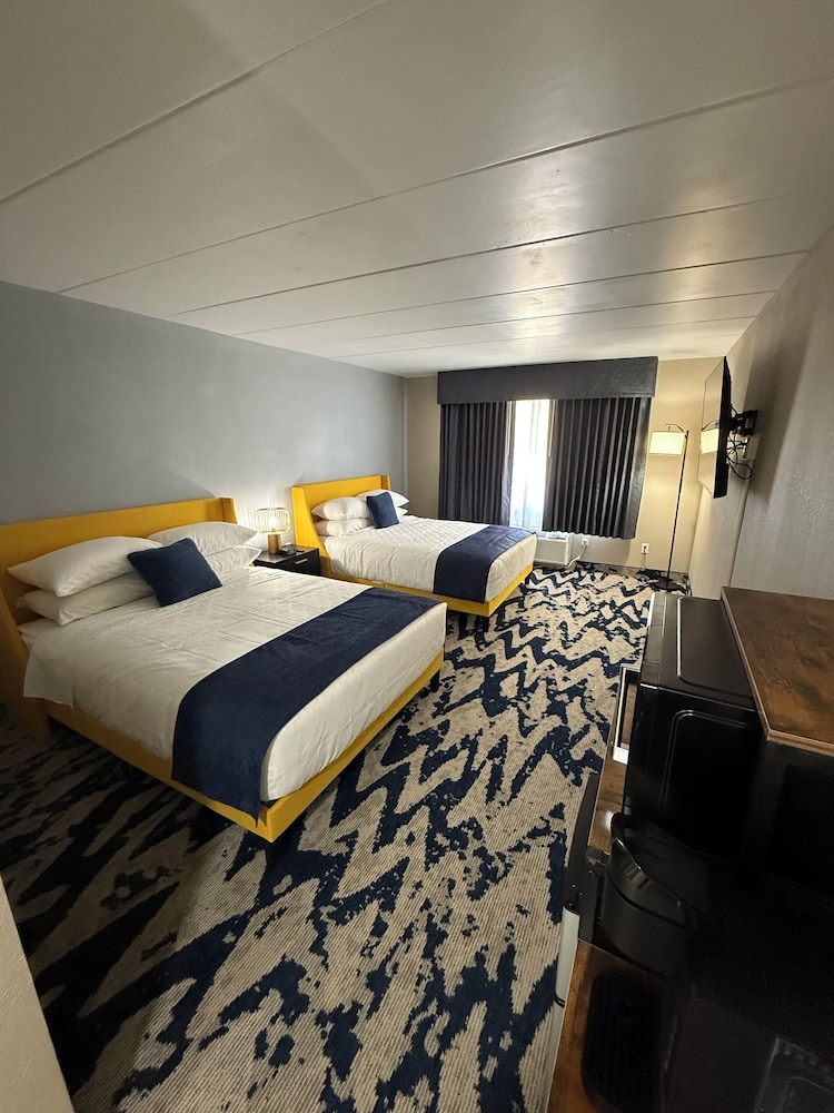 Deluxe Single Room photo 1