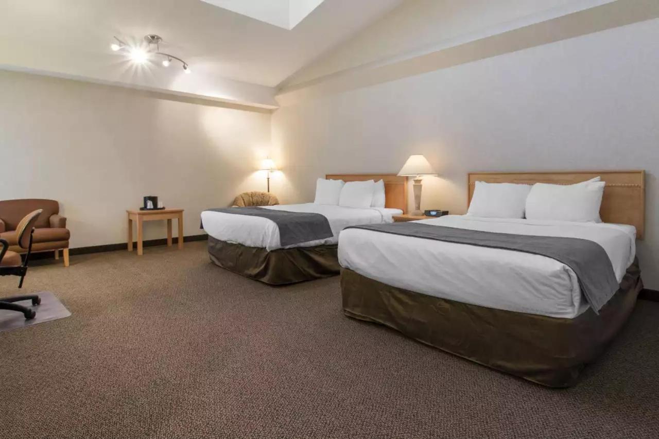 Standard Double Suite