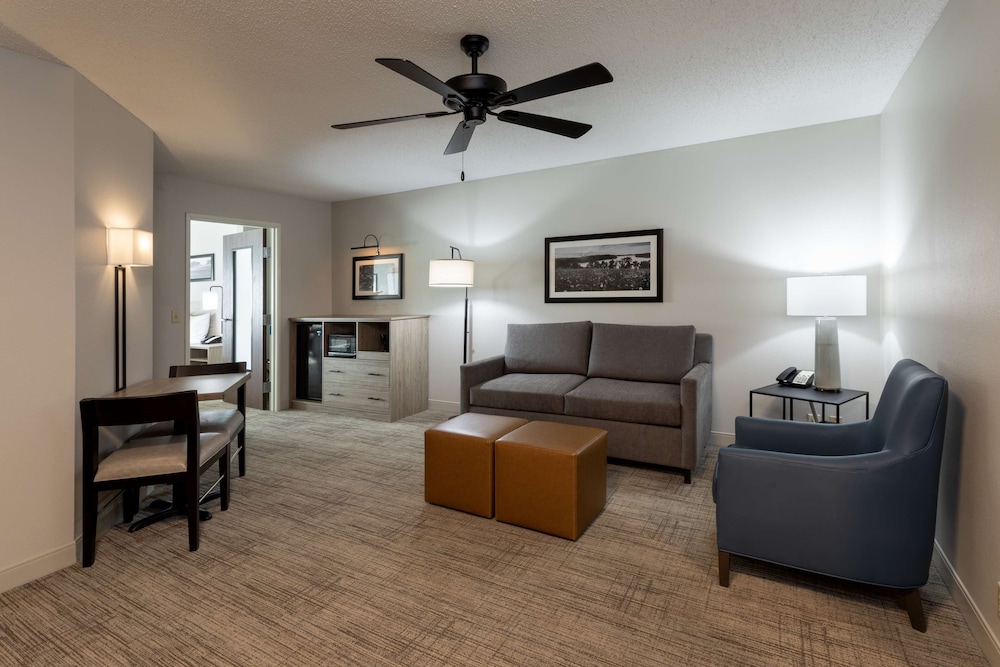 Suite, 1 Bedroom (King, Whirlpool) photo 3