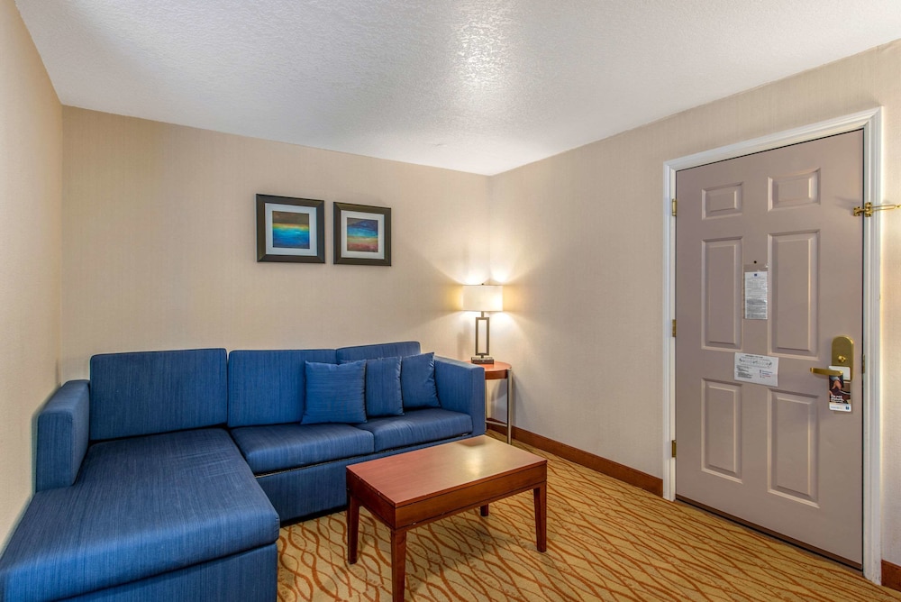 Suite, 1 King Bed, Non Smoking - Photo 6