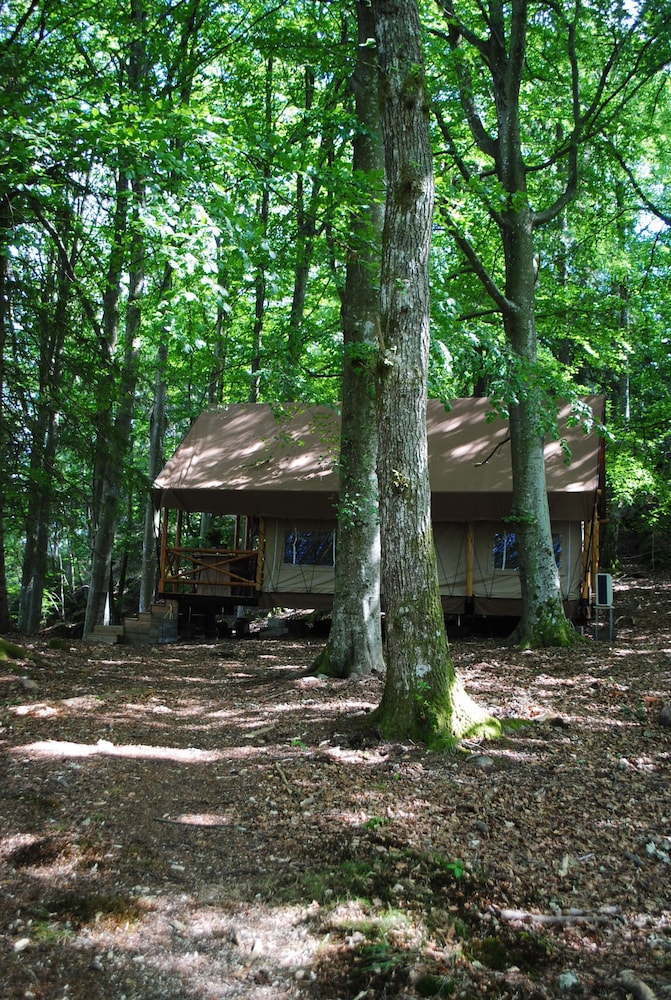Tent (Glampingtält i Bokskogen) photo 2