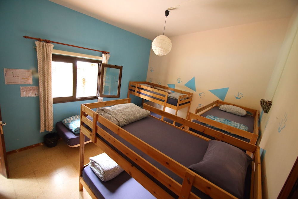 Shared Dormitory, Mixed Dorm (1 bed in a 7-Bed Dormitory Room) photo 3