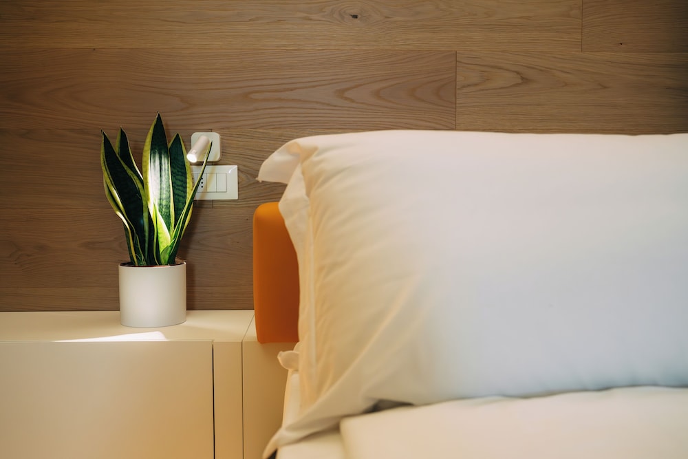 Deluxe Double Room, Lake View