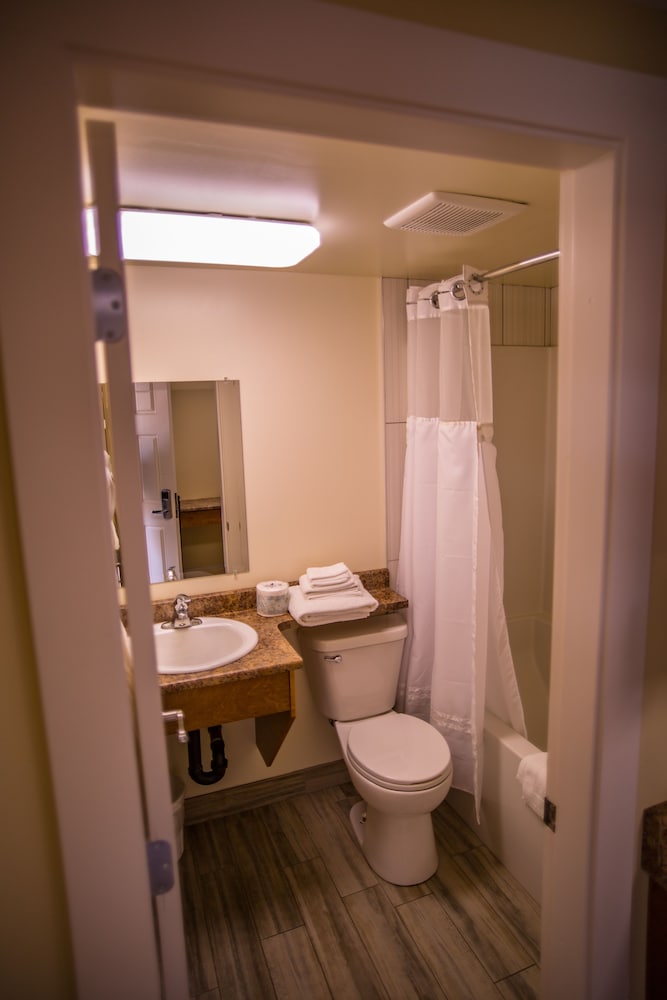 Suite, 1 Bedroom, Kitchen photo 3