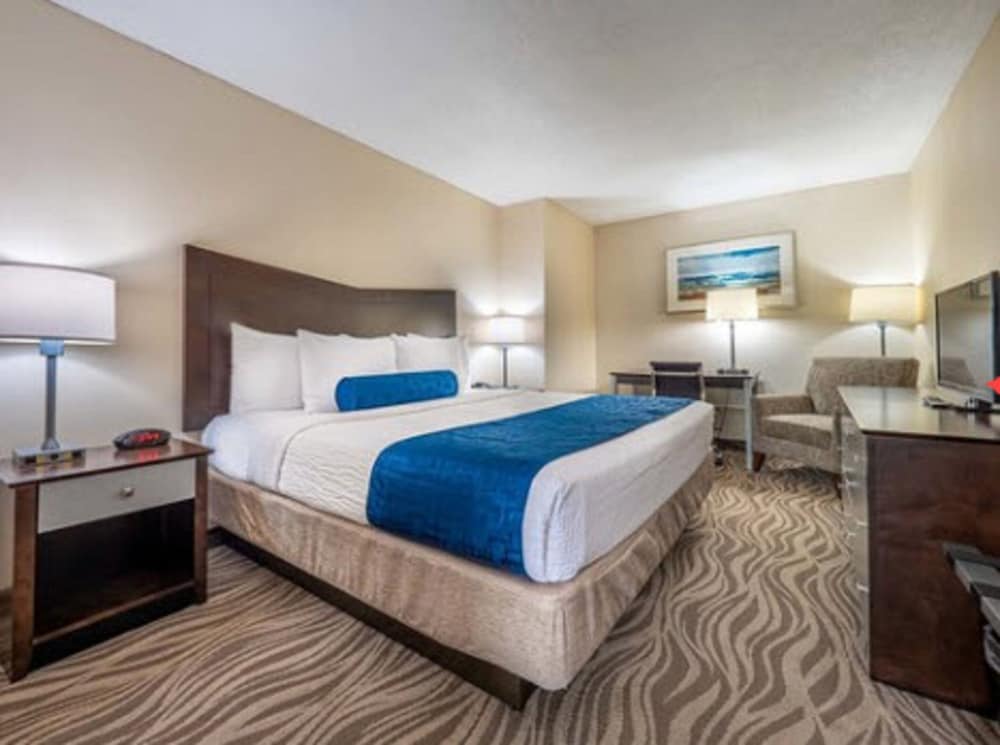 Standard Suite, 1 King Bed (King Suite) photo 1
