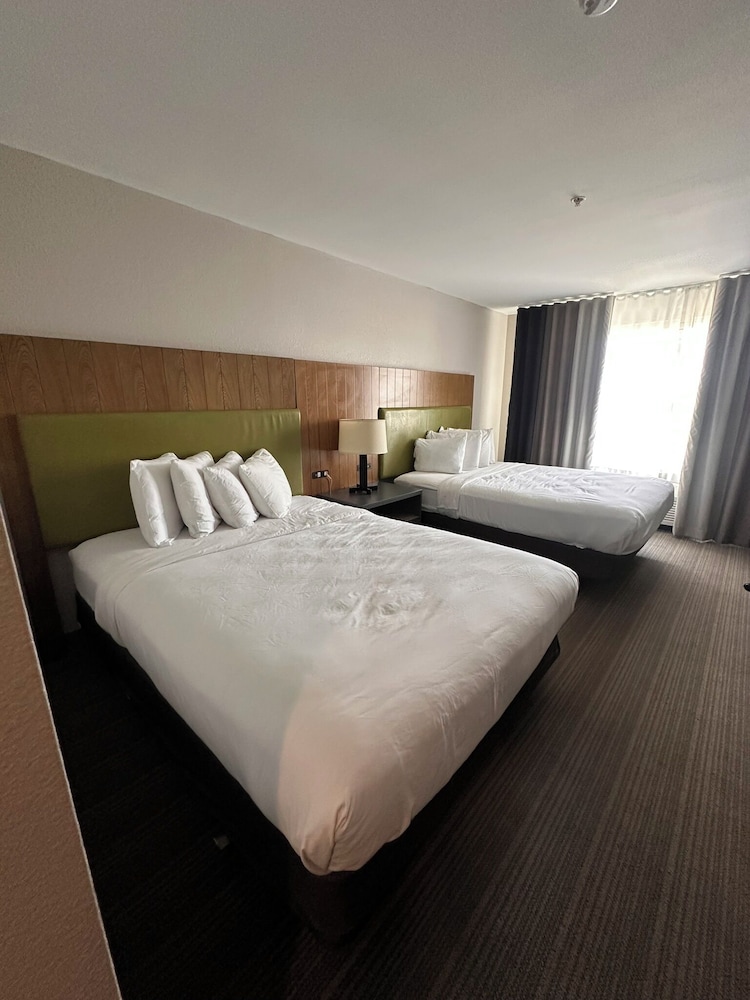 Deluxe Studio Suite, Multiple Beds, Non Smoking photo 1