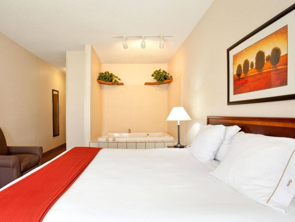 Deluxe Suite, 1 King Bed, Non Smoking (One-Bedroom) - Photo 2