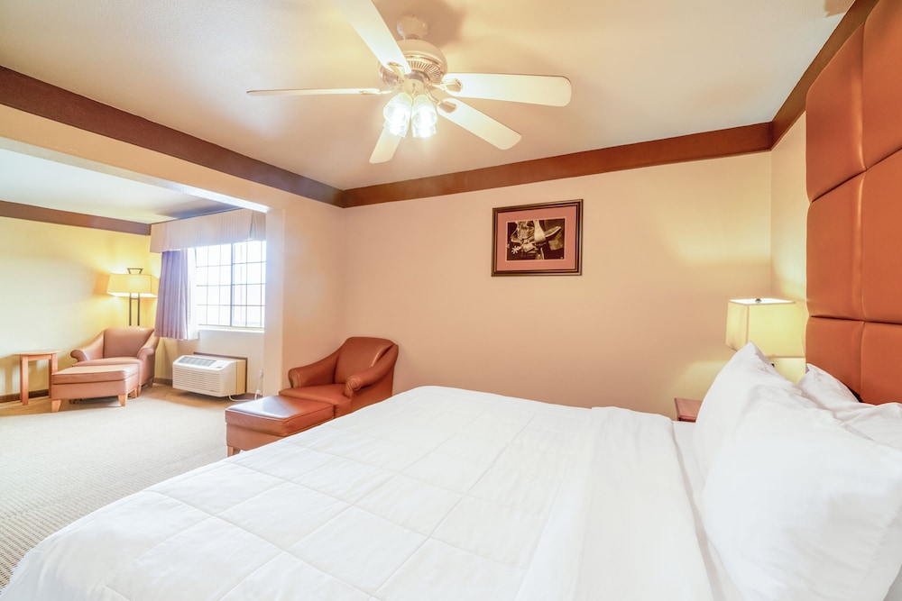 Suite, 1 King Bed, Non Smoking (Jacuzzi Tub) - Photo 13