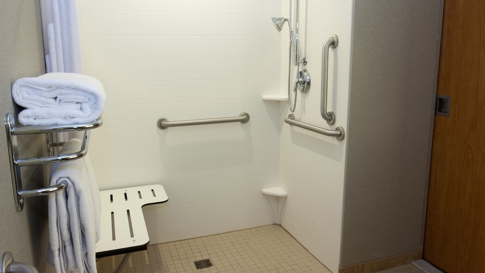 Suite, 1 King Bed, Accessible (Roll-In Shower) - Photo 4