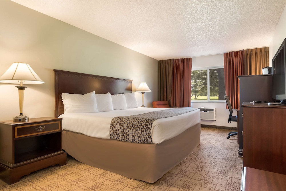 Standard Room, 1 King Bed, Accessible, Refrigerator & Microwave photo 1