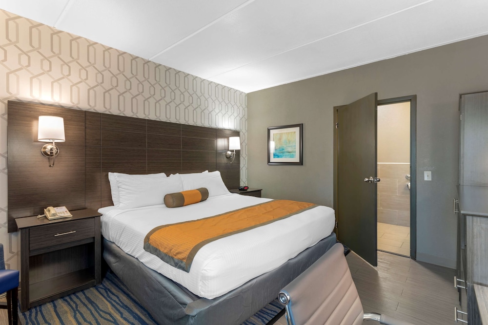 Standard Room, 1 King Bed, Accessible, Non Smoking (1st Floor;Pet Friendly) - Photo 1