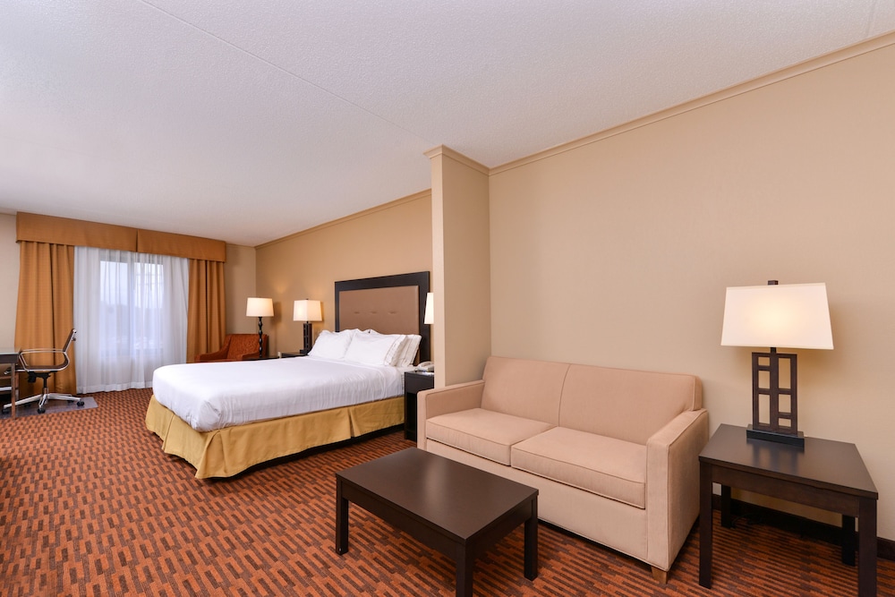 Suite, 1 Bedroom (1 Kng, Sofa Bed, Bth Shwr) - Photo 3